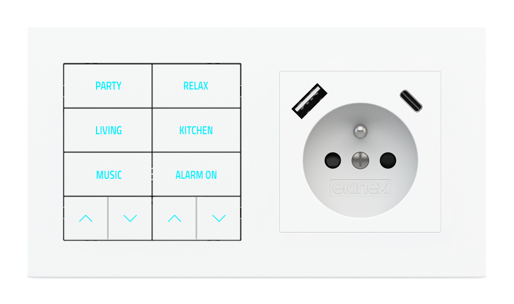 Ekinex 20venti · 10-fold pushbutton with backlit text/symbols, proximity sensor and socket point for 2-fold plate (60x55 mm module) - FR USB · Կառավարման սարք