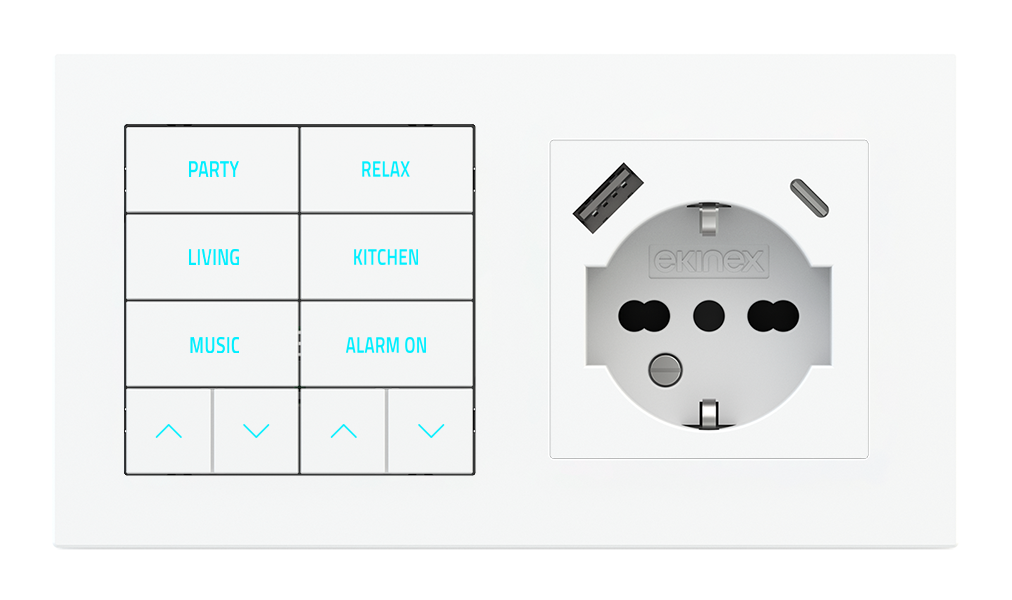 Ekinex 20venti · 10-fold pushbutton with backlit text/symbols, proximity sensor and socket point for 2-fold plate (60x55 mm module) - IT USB · Կառավարման սարք