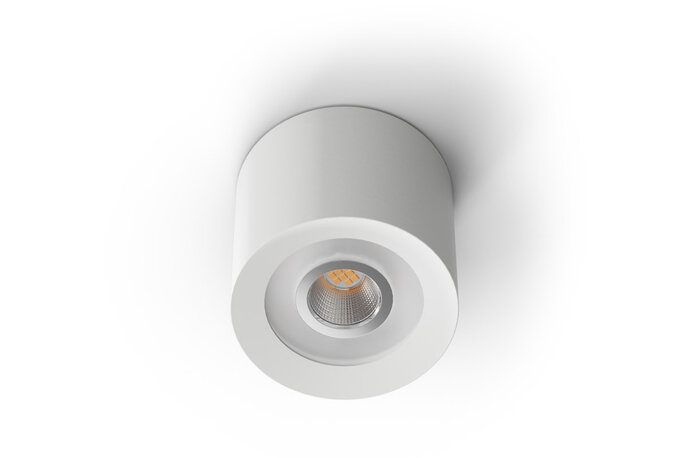 Loxone LED Ceiling Spot RGBW Tree White · Освещение